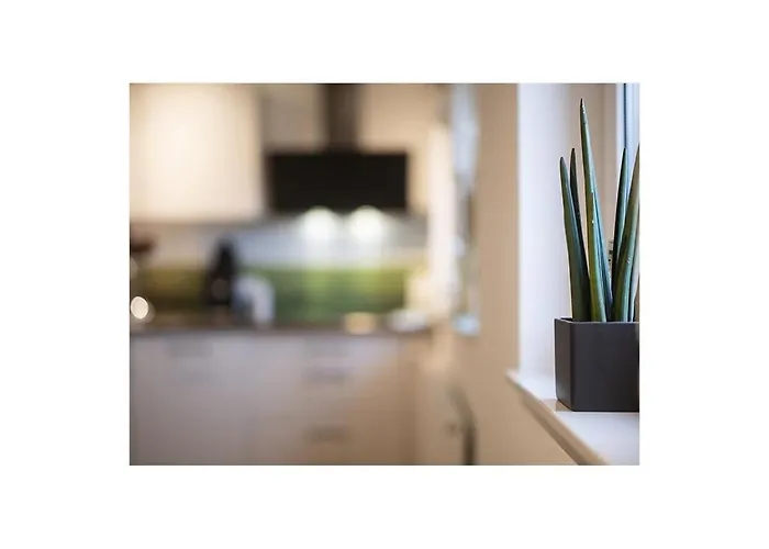 Feriehus Q-stall, 05 Brilon